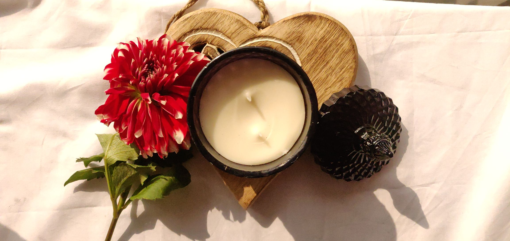 img20220110133114_eaa17f65-dad0-40c9-b40b-bcedb243090c-4x