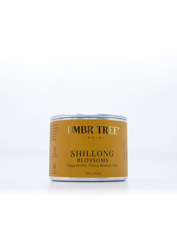 utsbtt150front_ee0ddcfa-00f7-48d3-ad7b-73236d9ab55e-4x