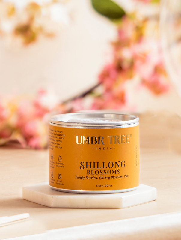 utsbtt150sp_7bf79baf-4fa1-440a-8b49-dd852e96a012-4x