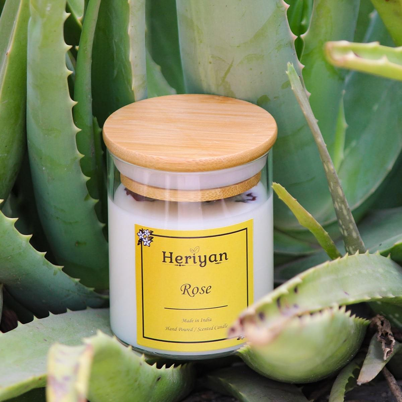 c3130d81-3c13-49e3-aadf-7ae96963894c_a235924b-5034-4fce-b2f4-bcd70e256374-4x